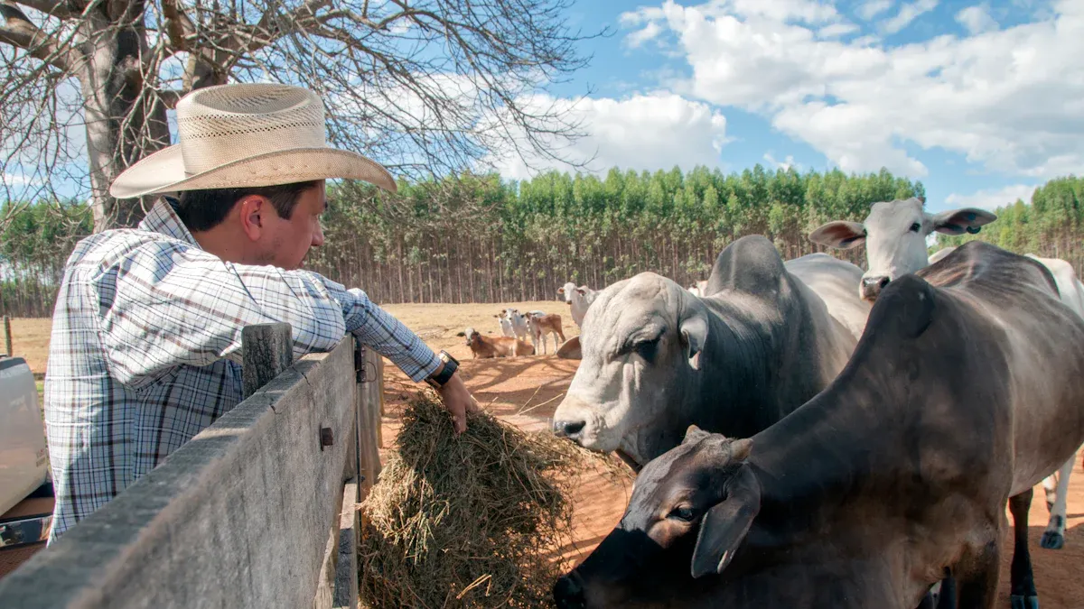 Species Applications