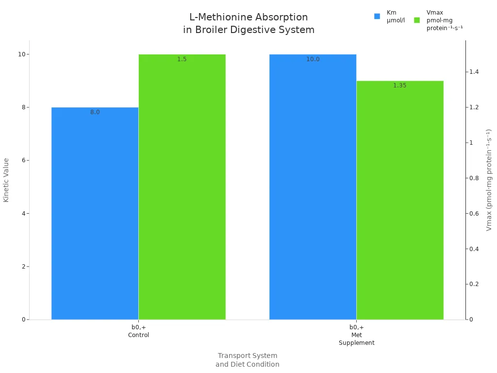 Bar chart comparing Km and Vmax for L-Methionine absorption via b0,+ system under control and methionine-supplemented diets in broilers