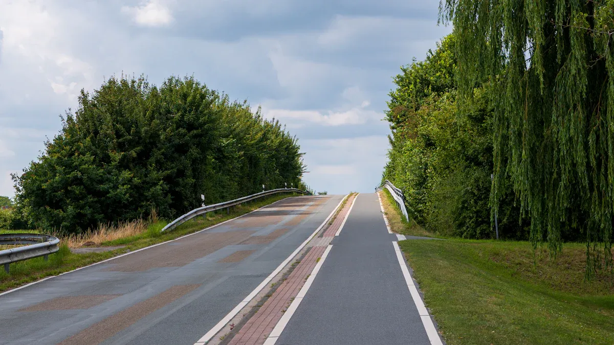 Krebs Cycle and Energy