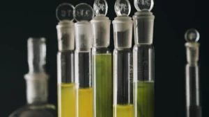 Inulin powder organic sweetener pros and cons explained