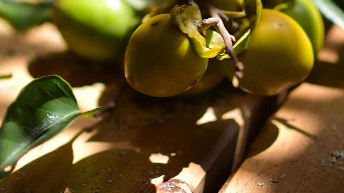 What Is Pure Monk Fruit Extract?