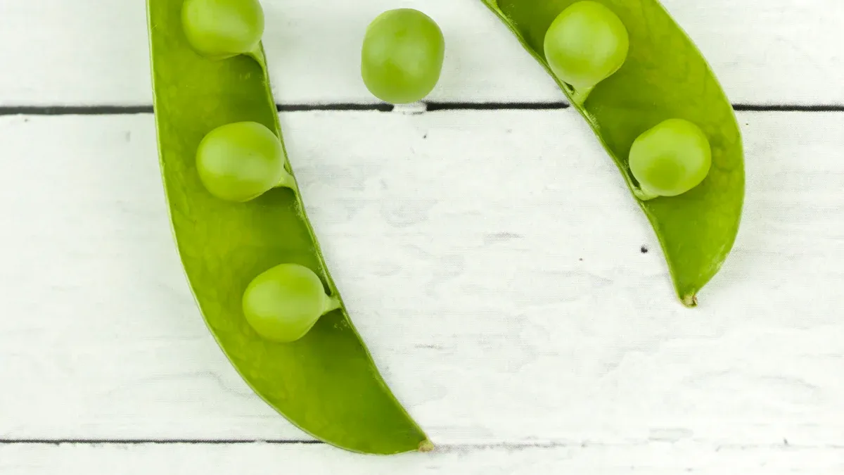 Pea Protein vs Soy Protein Overview