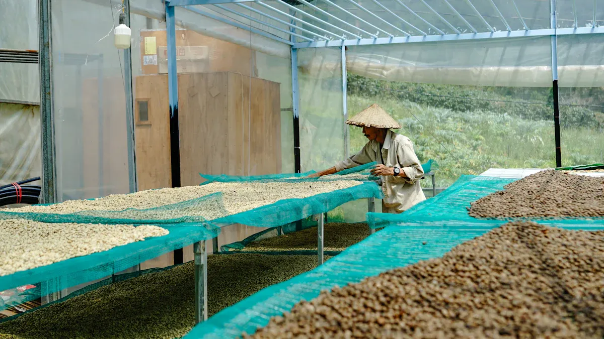 Agglomeration Process