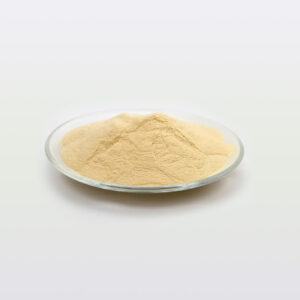 Ekstrak ragi-