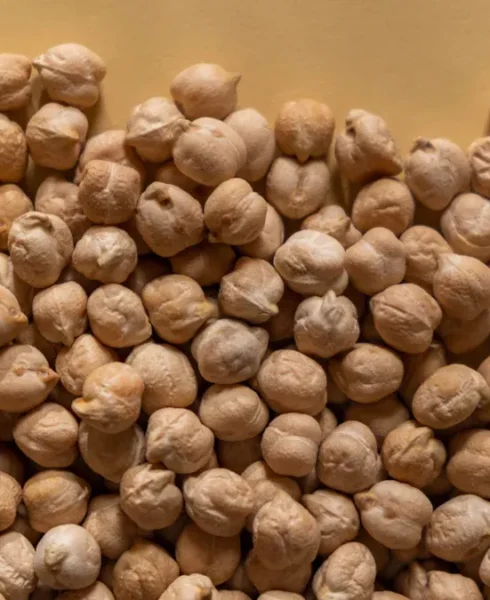 52545e8ecda24f479247d88a58c16da2