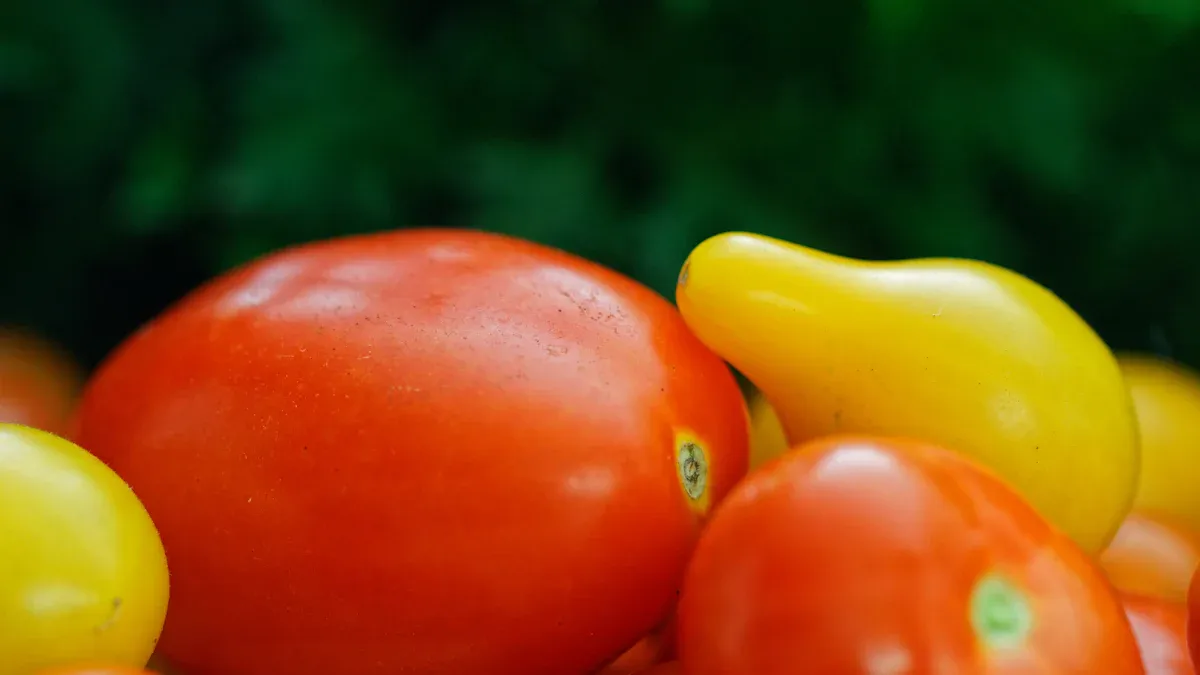 Xylanase Enzyme in Food Processing