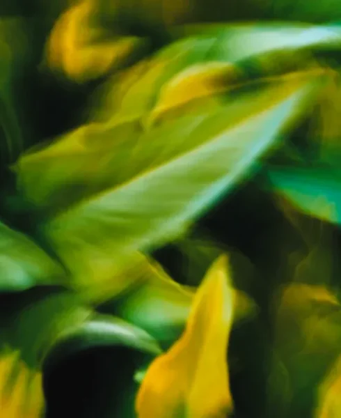 94e282cd8bec43b9a1e4b273f2ad67f6