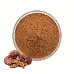 Reishi Mushroom Extract