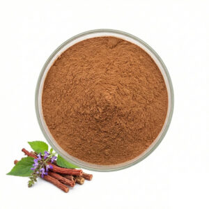 Salvia Miltiorrhiza Extract