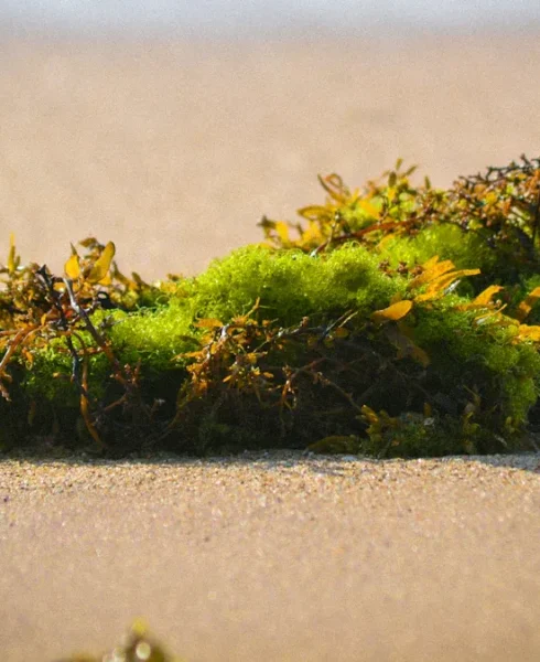 049b256c25df42b183f6df3dfcbb4811