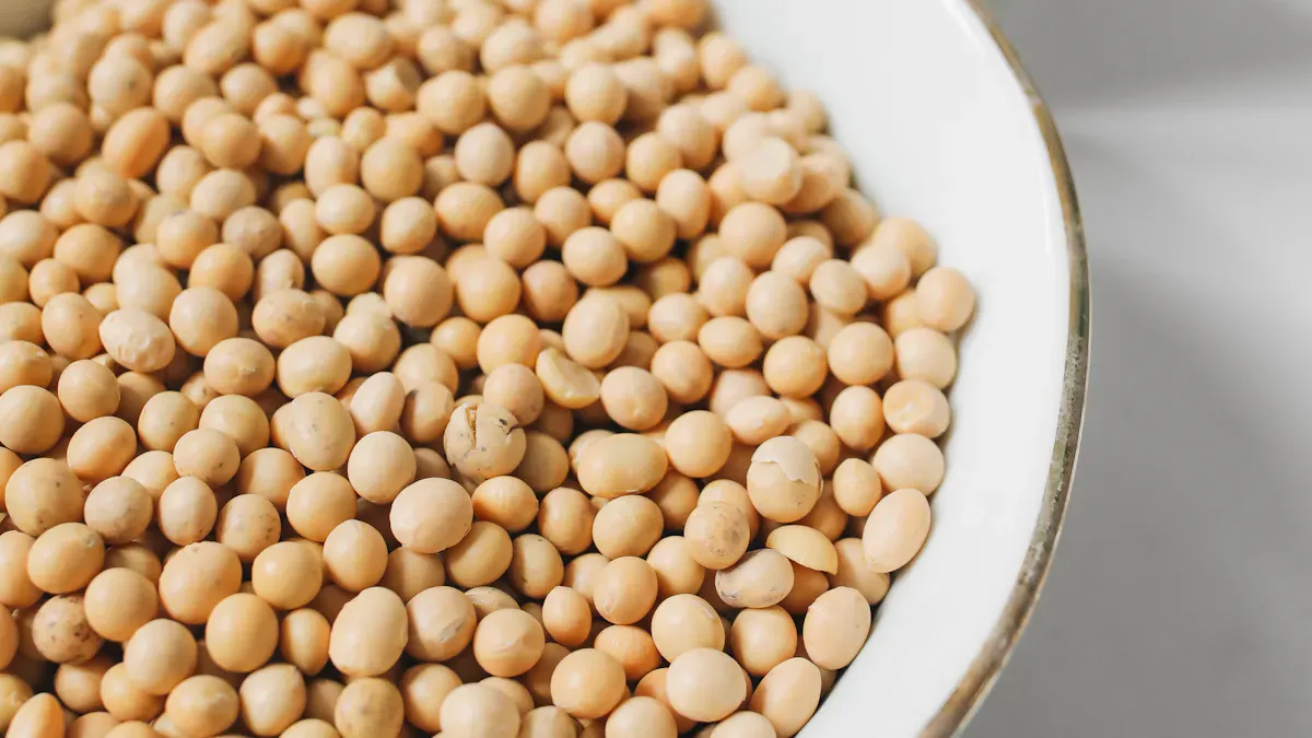 What Is Soy Protein Isolate?