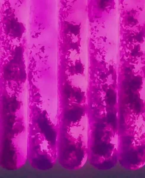 f058796d74e8439281ff74bfbf8b1e16