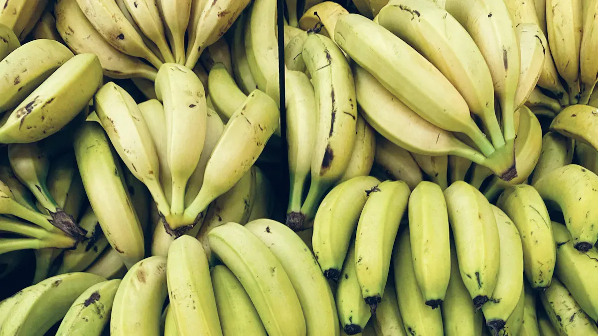 Vitamin B6: Benefits and Deficiency