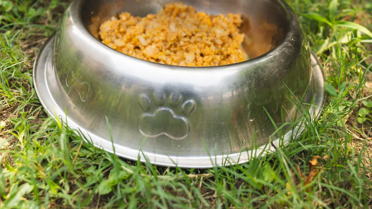 What Is Carrageenan-in-Cat-Food