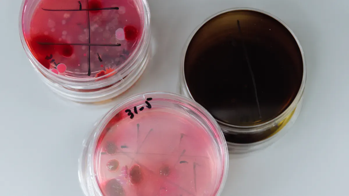 What Is Agar Agar?