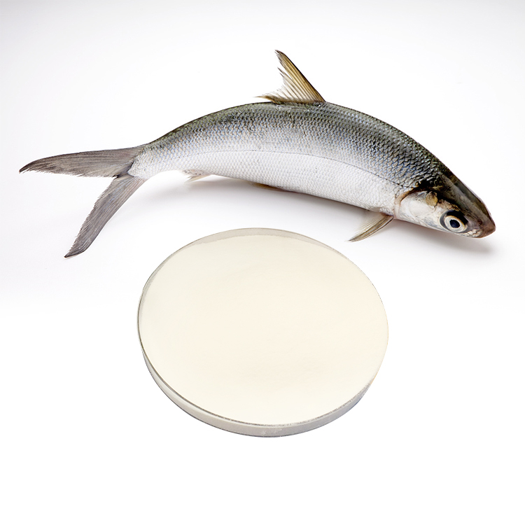 Fish collagen peptides powder for beauty nutrition and functional food applications