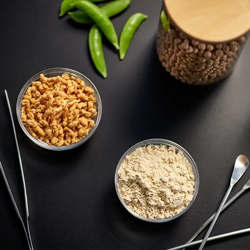 Plant protein and nutrition ingredient application