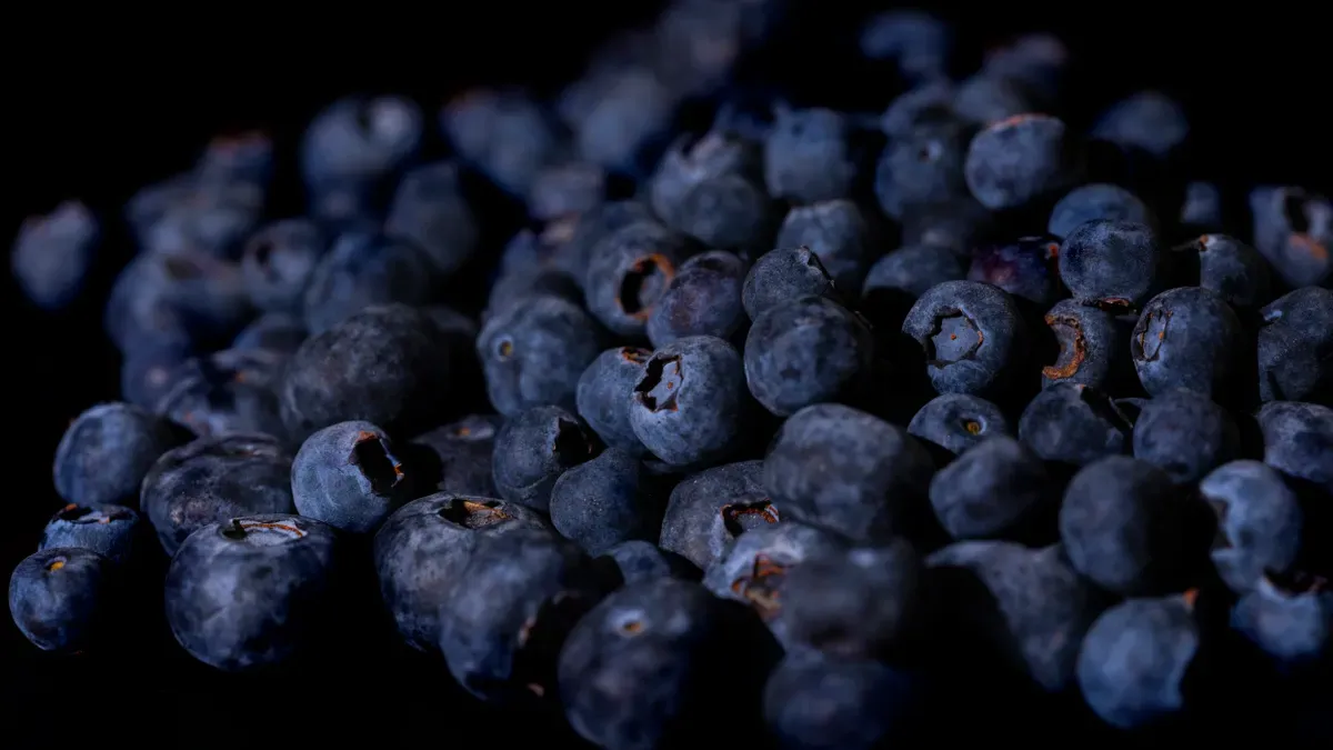 Antioxidant Effectiveness