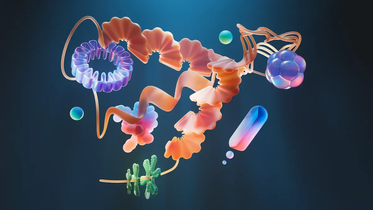 Cellulase Enzyme Mechanism