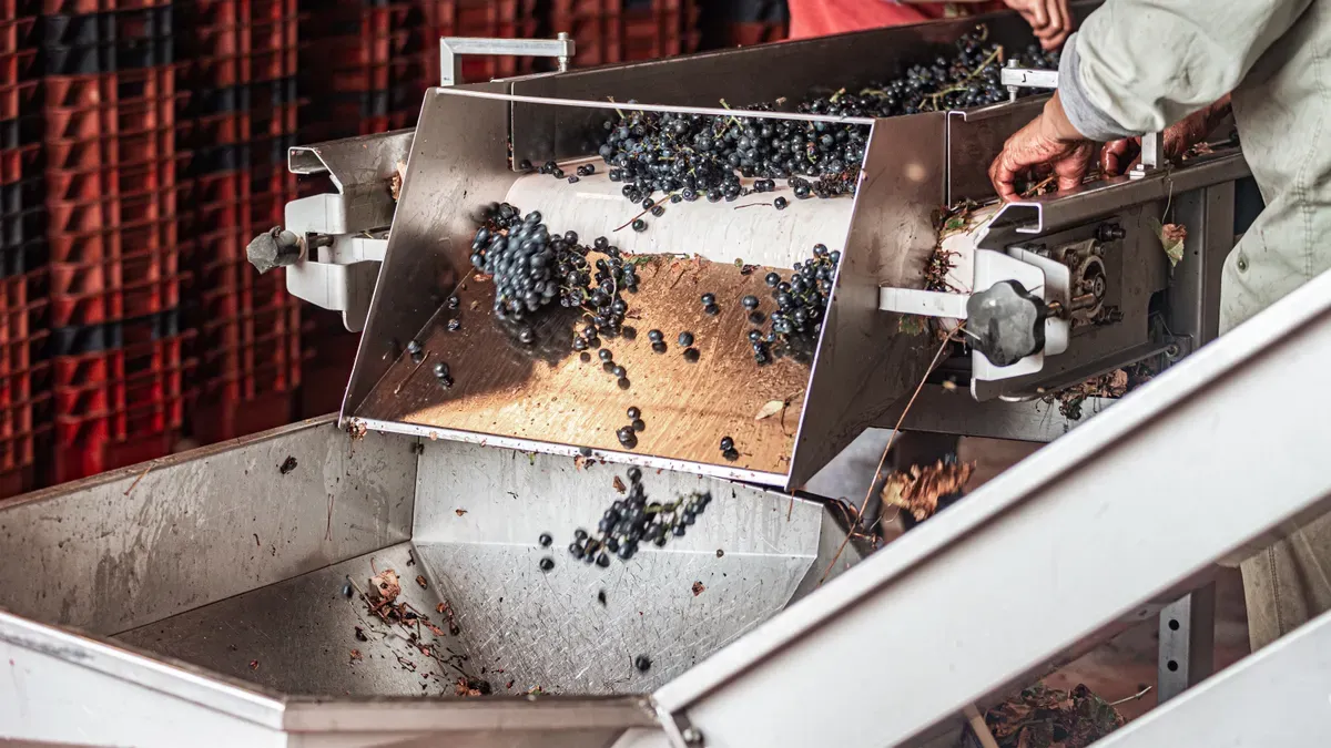 Cellulase Enzyme in Grape Processing