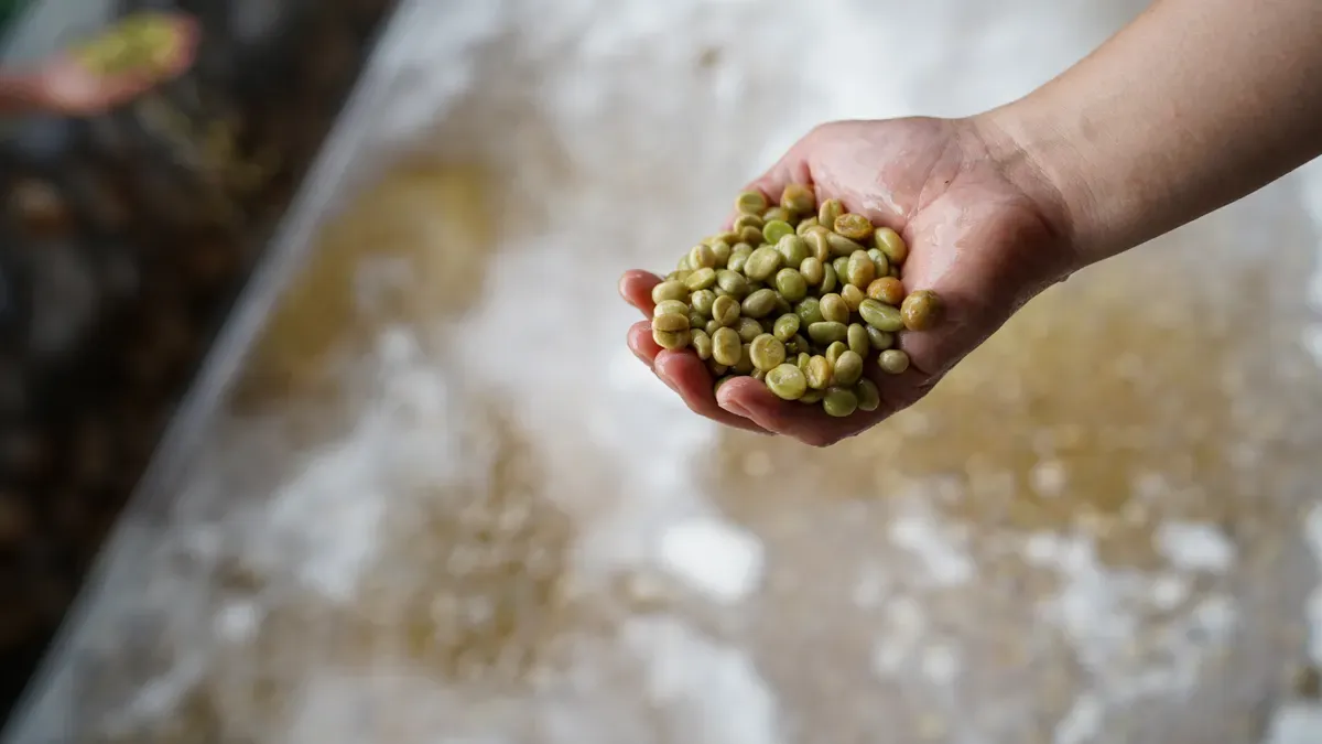 Enzyme Action in Fermentation
