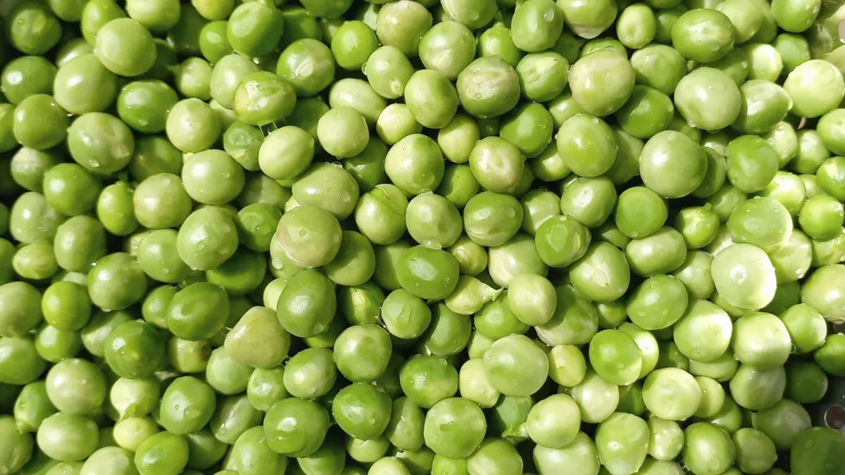 Pea Protein Overview