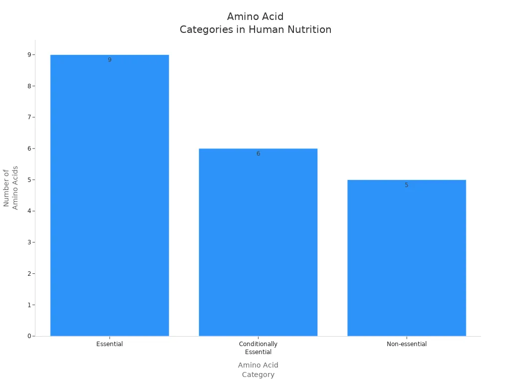Bar chart comparing the number of essential, conditionally essential, and non-essential amino acids in human nutrition