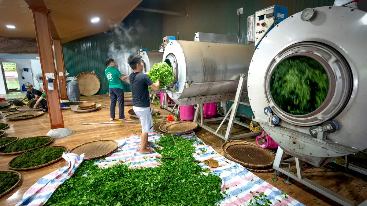 Science of Fruit Powder Processing